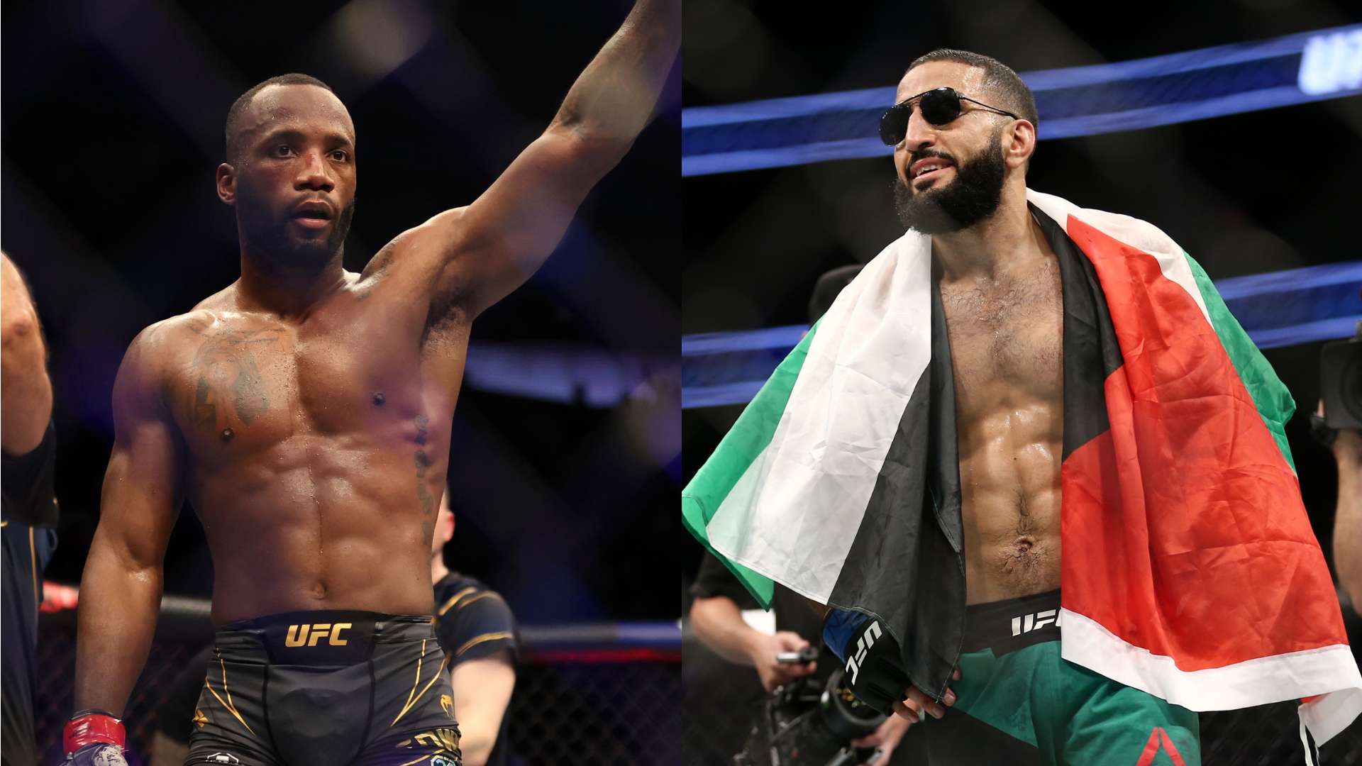 也带动了全 也带动了全